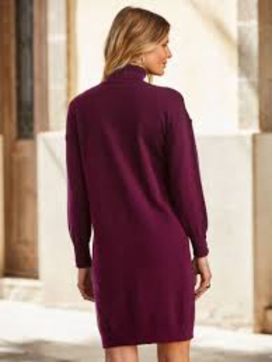 Babaton Dresses & Skirts - Babaton $168  Dress Pure Merino Wool 2XS Maroon Turtleneck Knee Lenght Knit